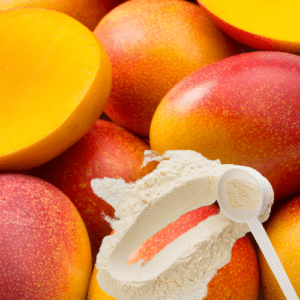 Premium Indian RIPE MANGO POWDER for export